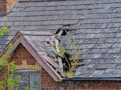 Professional ceiling water damage repair services in Saint Louis - water damage cleanup